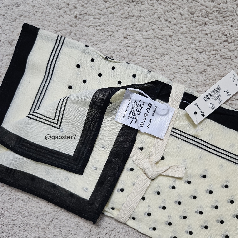 Madewell Organic Cotton Bandana - Picture 6 of 6